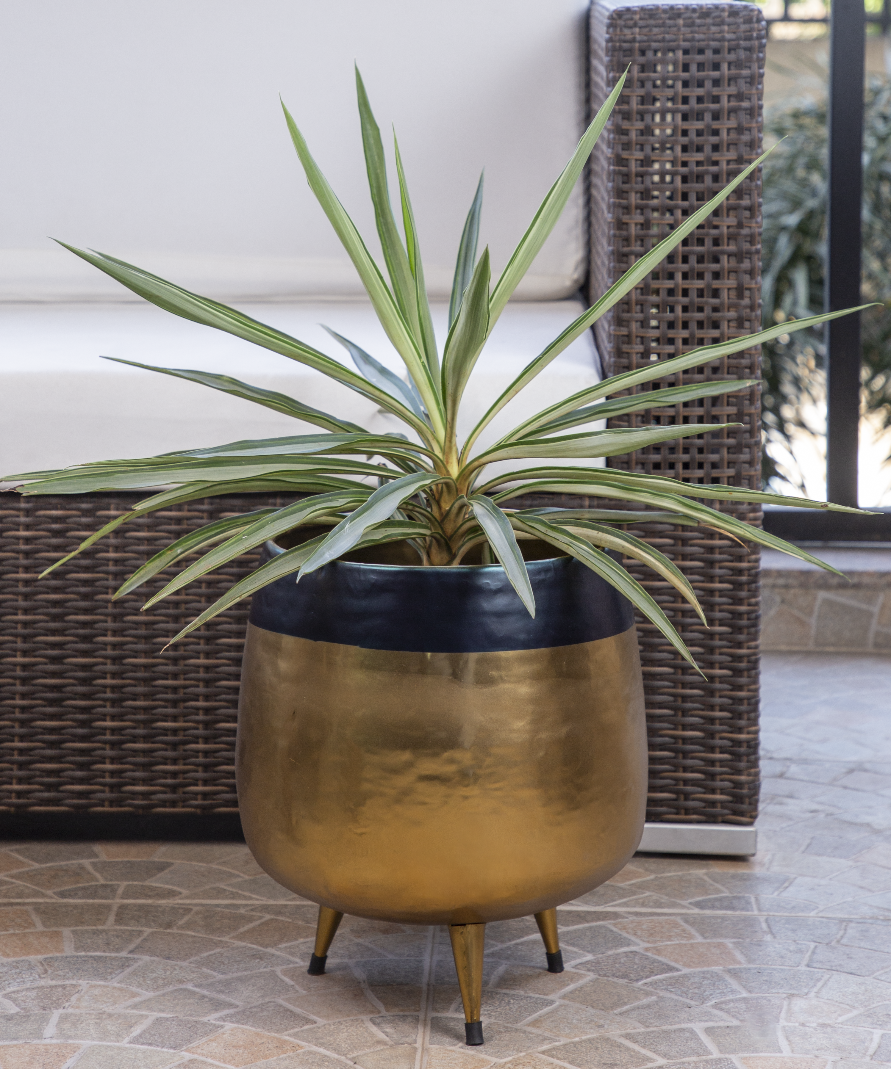 Hand Hammered Planters In Dual Black and Brass Gold Finish.