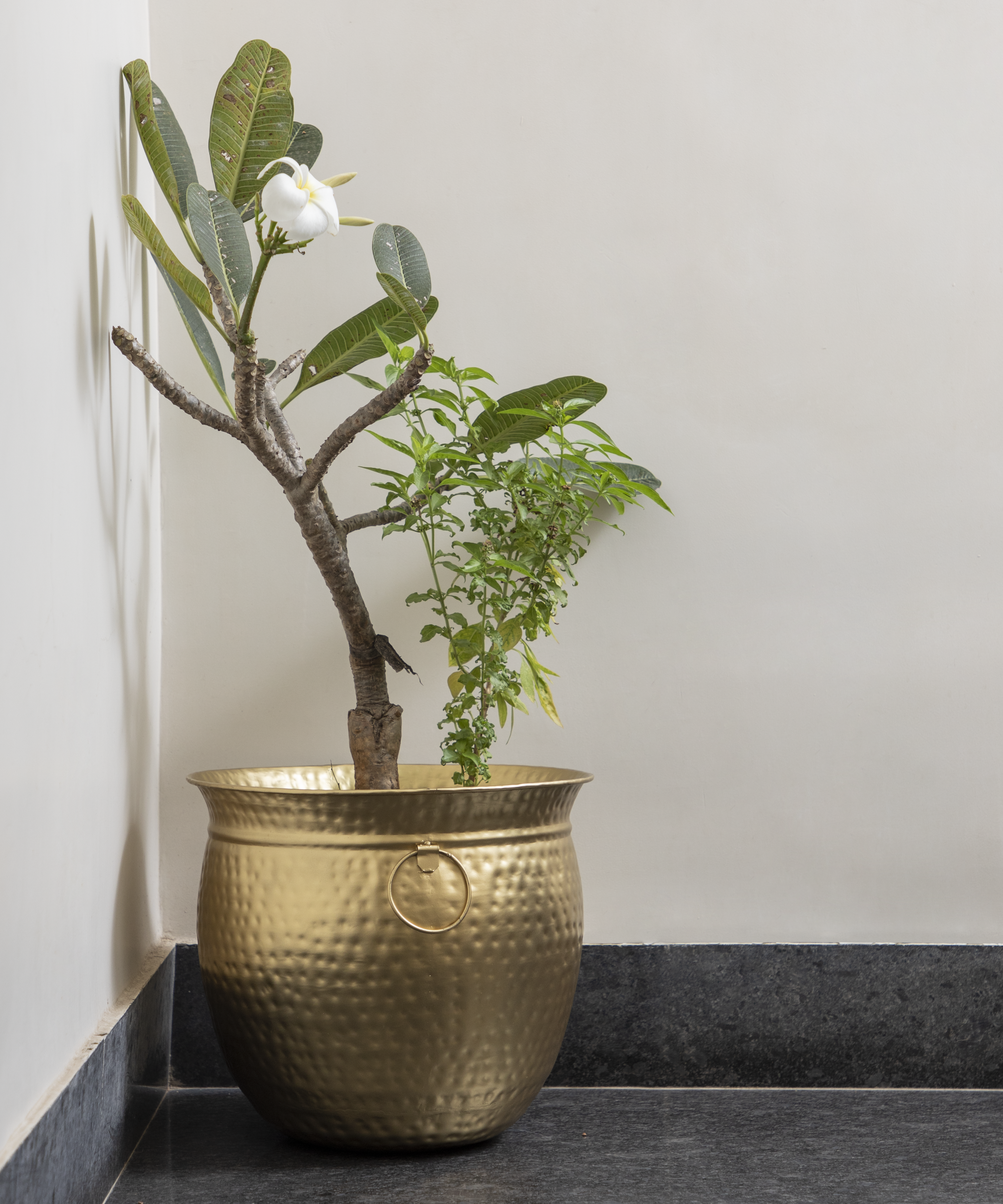 Gold Hammered Planter