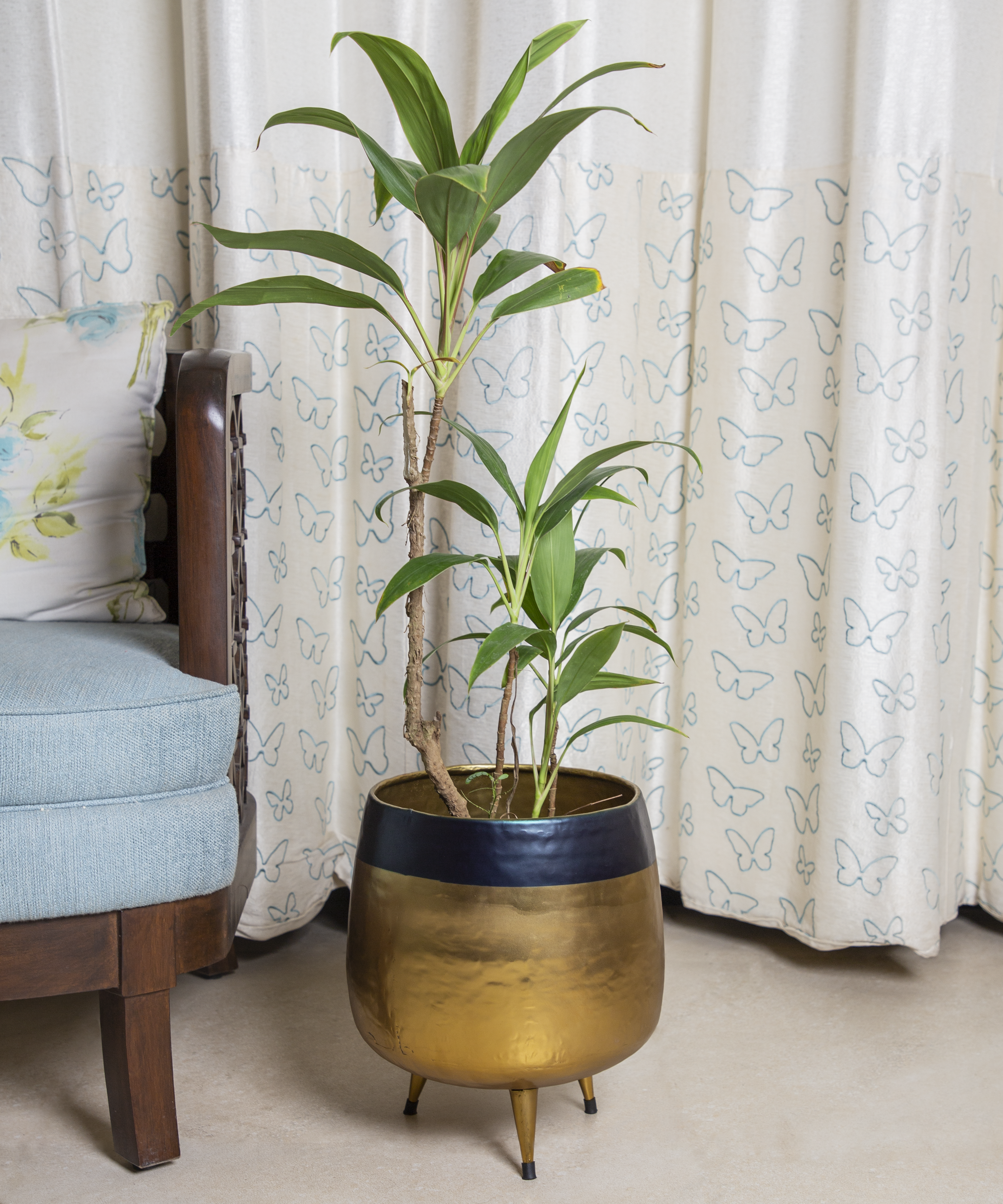 Hand Hammered Planters In Dual Black and Brass Gold Finish.