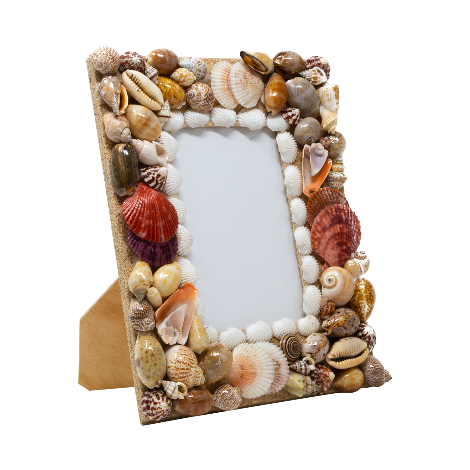 Staggering Natural Multi Colour Hues Shell Photoframe