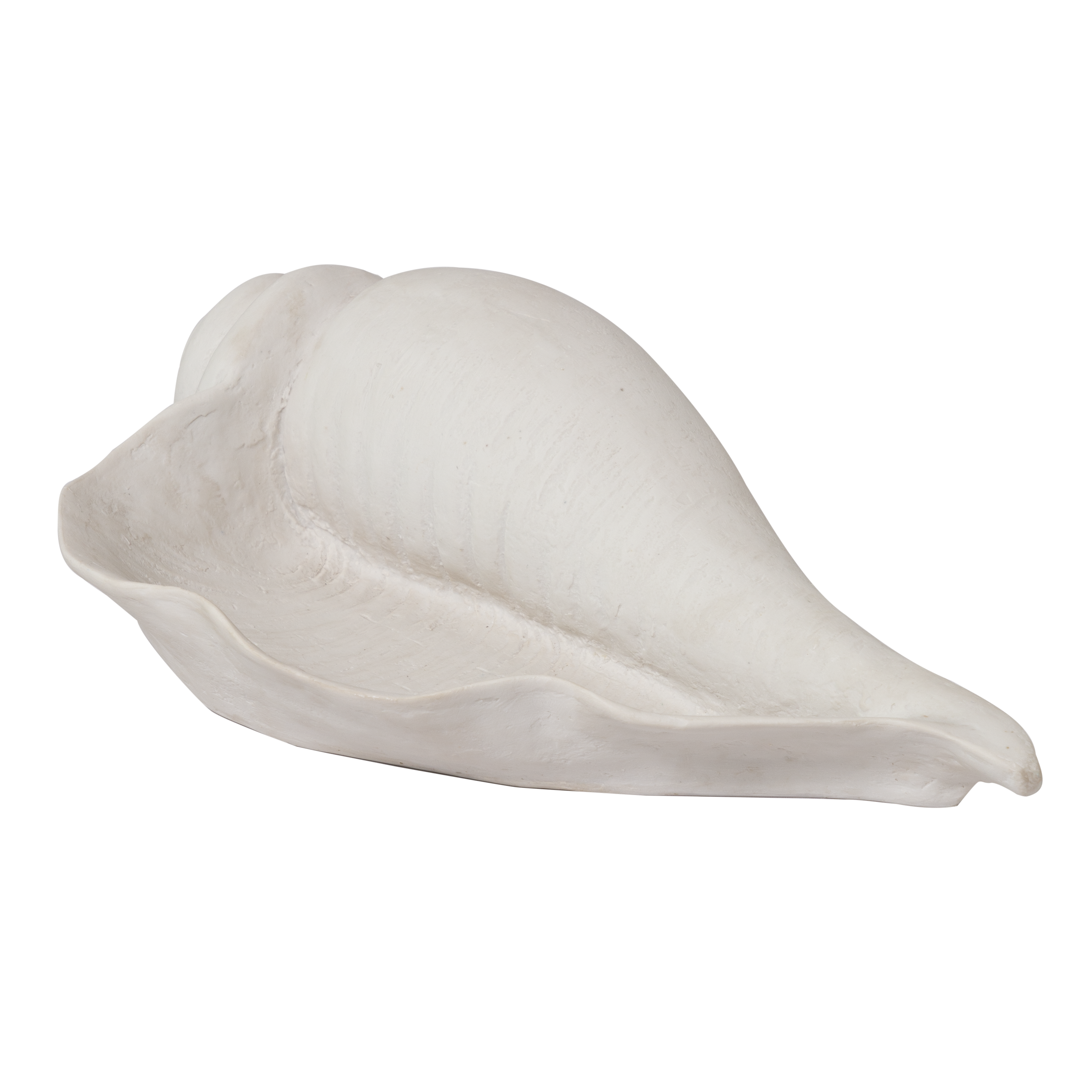 Conch Shell Fiber Urli