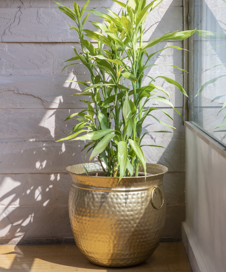 Brass Hand Hammered Planter