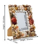 Staggering Natural Multi Colour Hues Shell Photoframe