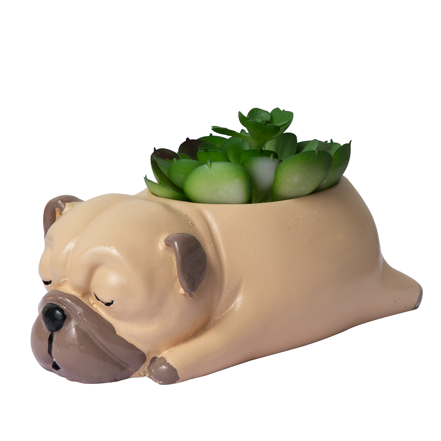 Cuddles the Pup Bulldog Small Succulent Pot