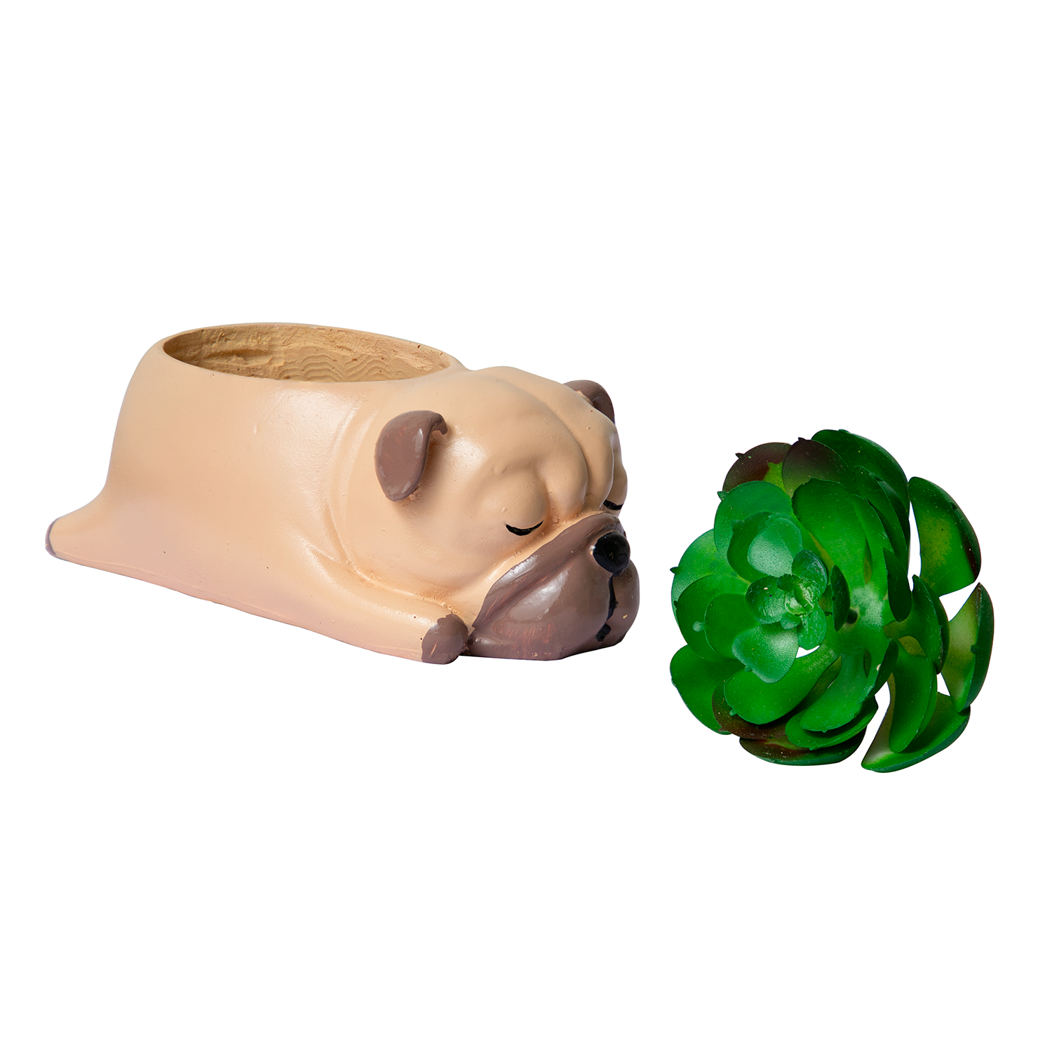 Cuddles the Pup Bulldog Small Succulent Pot