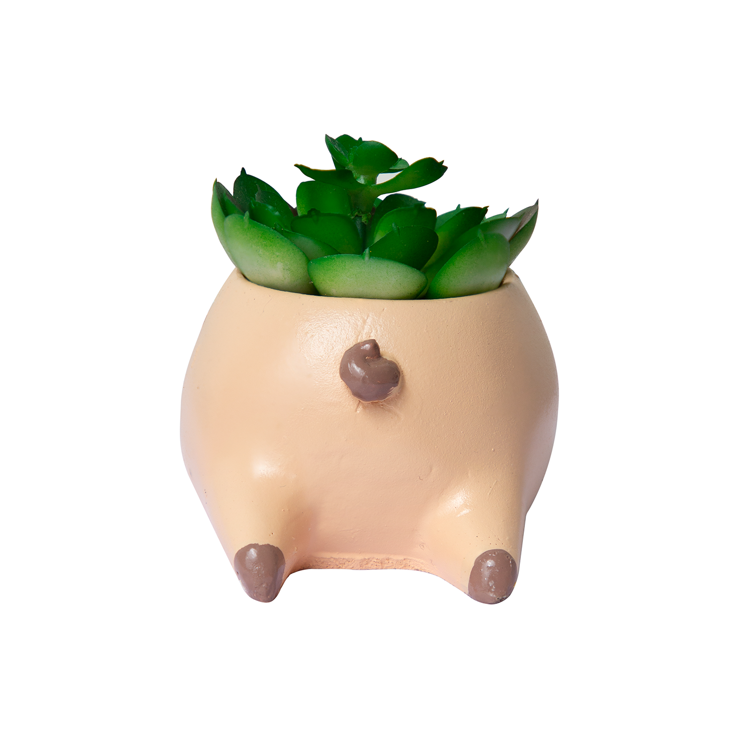 Cuddles the Pup Bulldog Small Succulent Pot