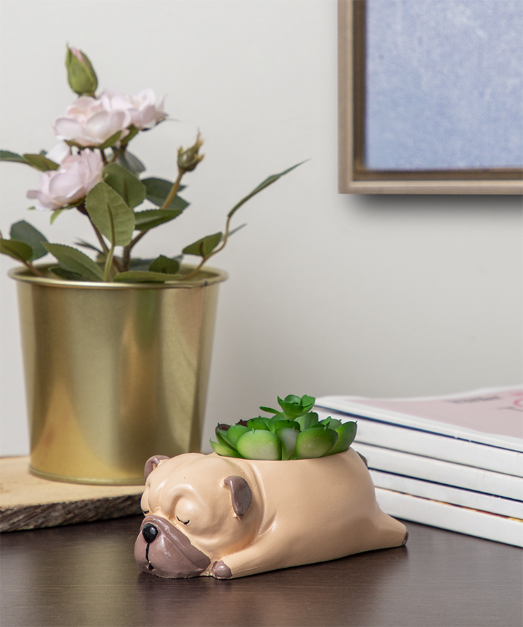 Cuddles the Pup Bulldog Small Succulent Pot