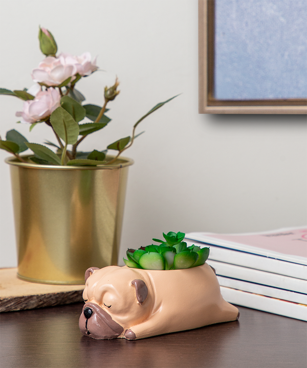 Cuddles the Pup Bulldog Small Succulent Pot