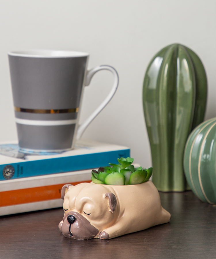 Cuddles the Pup Bulldog Small Succulent Pot