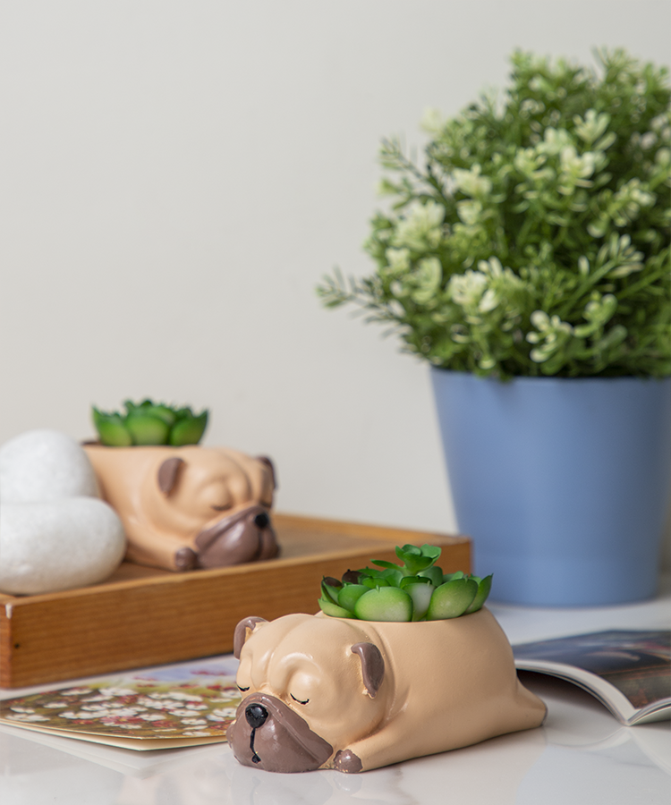 Cuddles the Pup Bulldog Small Succulent Pot