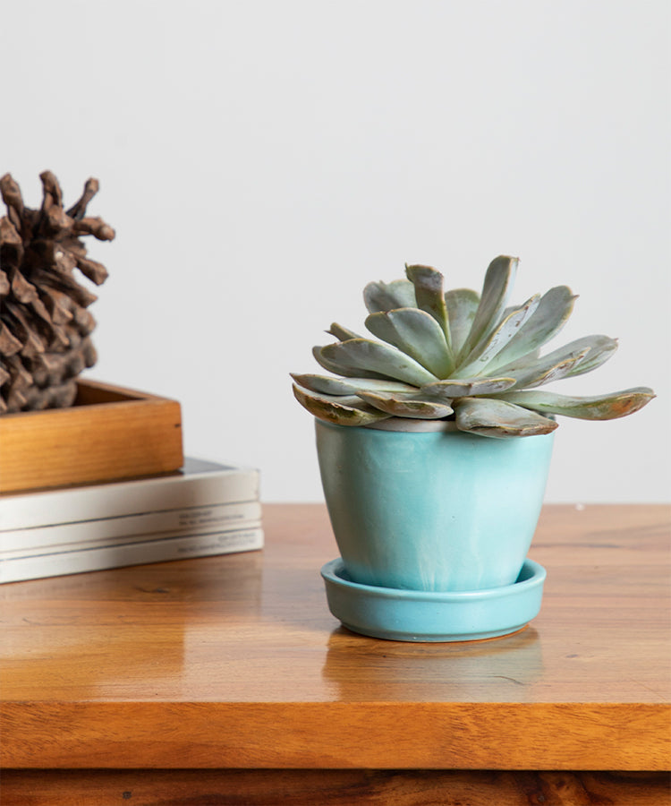 Light Turquoise and Sky Blue Shaded Glazed Ceramic Planter with Plate