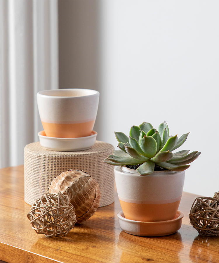 Orange-Peach Ceramic Planter Pot