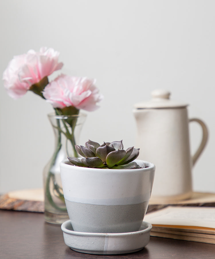 Ceramic Planter Pot