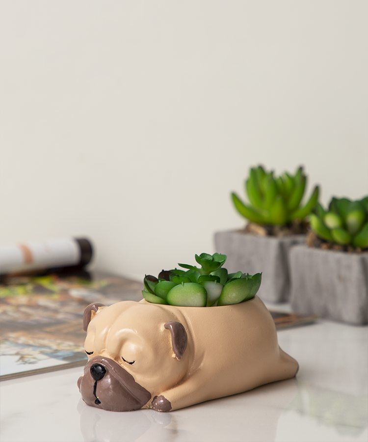 Cuddles the Pup Bulldog Small Succulent Pot