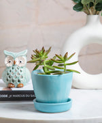 Light Turquoise and Sky Blue Shaded Glazed Ceramic Planter with Plate